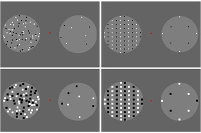 Regular Distribution Inhibits Generic Numerosity Processing